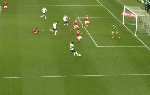  热刺主场草皮质量问题遭批  